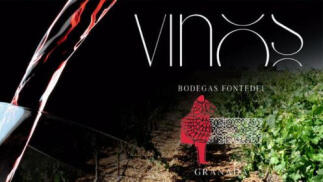 Mes del Vino: Bodega Fontedei