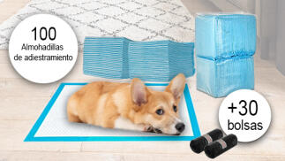 100 almohadillas de adiestramiento para perros y cachorros + 30 bolsas