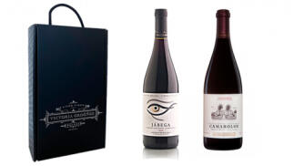 Pack Vinos Bodegas Victoria Ordóñez: Jábega Tinto + Camarolos